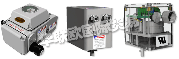 因此被視為AUTOFLAME公司和質量管理體系的主要目標。