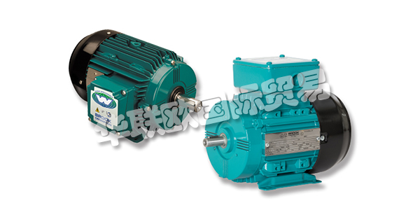 GES公司成立于1972年，當時是Grants Electrical Services(NI)Ltd。，現已發展成為GES集團，一家領先的電氣和機械工程企業，現在為愛爾蘭，英國和歐洲的客戶提供服務。