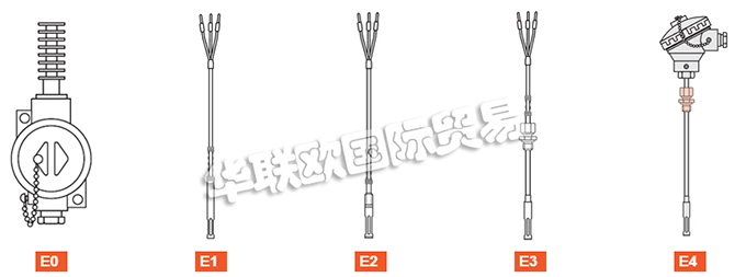 ELSI探頭、ELSI溫度計、熱電阻、熱電偶、熱電偶探頭、電阻溫度計探頭、溫度變送器、便攜式溫度計、滑動法蘭、電子溫度計連接頭、滑動螺紋配件。