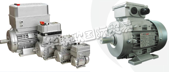 意大利BERMAR公司的主要產(chǎn)品包括：意大利BERMAR電機、BERMAR電動機、異步電機、異步電動機、永磁發(fā)動機、逆變器、伺服通風(fēng)電動機、伺服電動機、工業(yè)洗衣機電動機、單相電動機、DRIVEJET鼓風(fēng)機、高效電機、泵、風(fēng)扇、工業(yè)壓縮機。